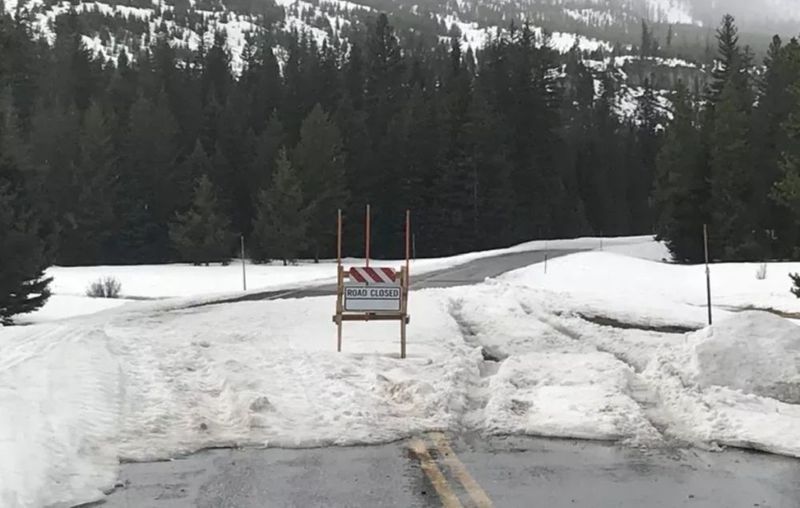 Photo from Park County Sheriff's Office